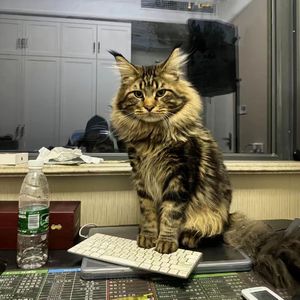 操鼻视频素材大全
