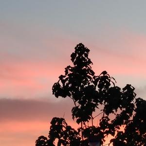 操鼻视频素材大全
